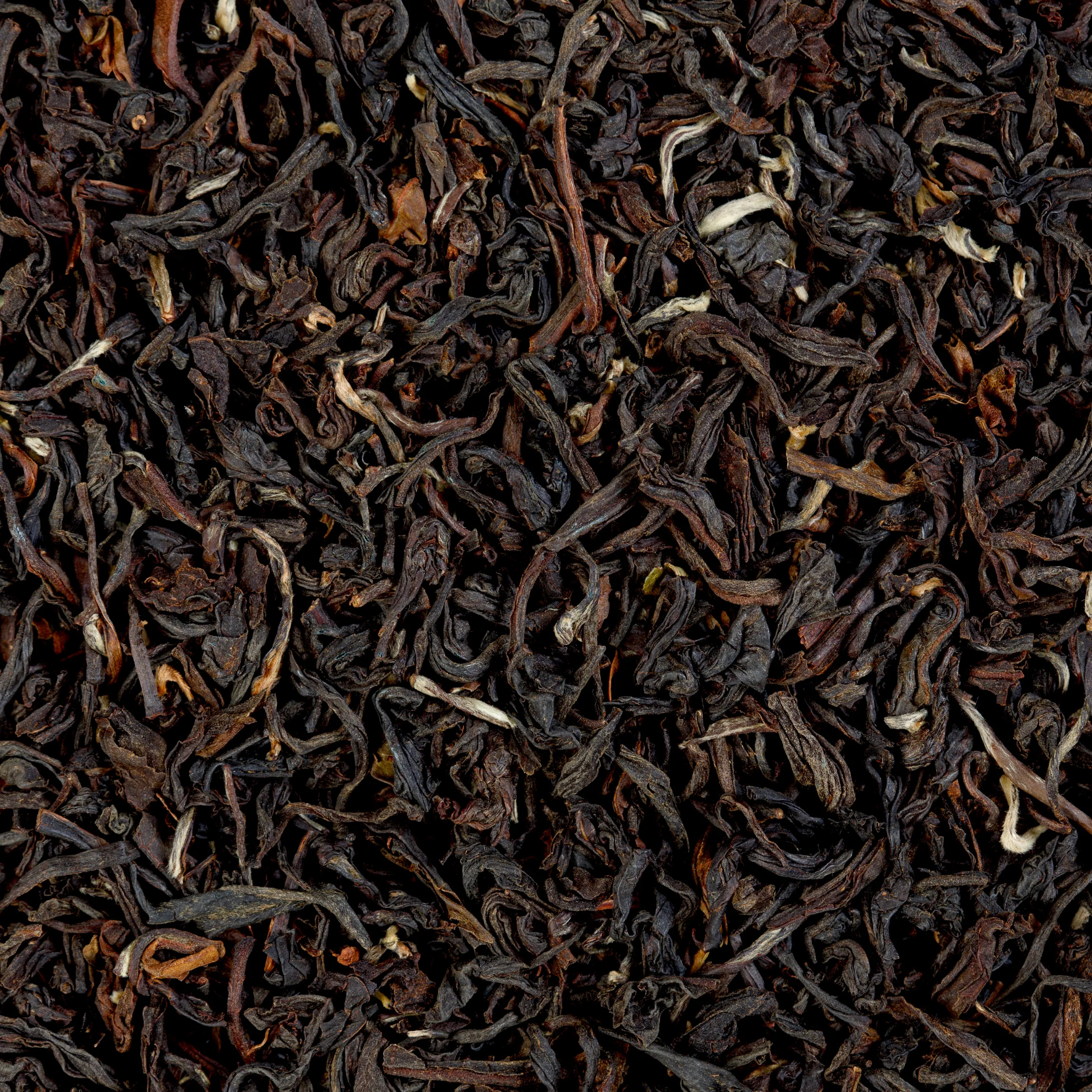 Darjeeling Black - Image 5