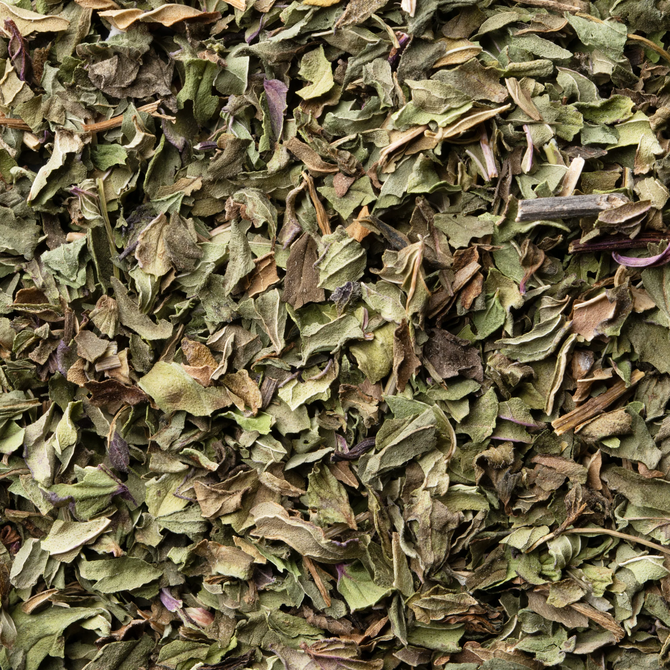 Garden Peppermint - Image 5