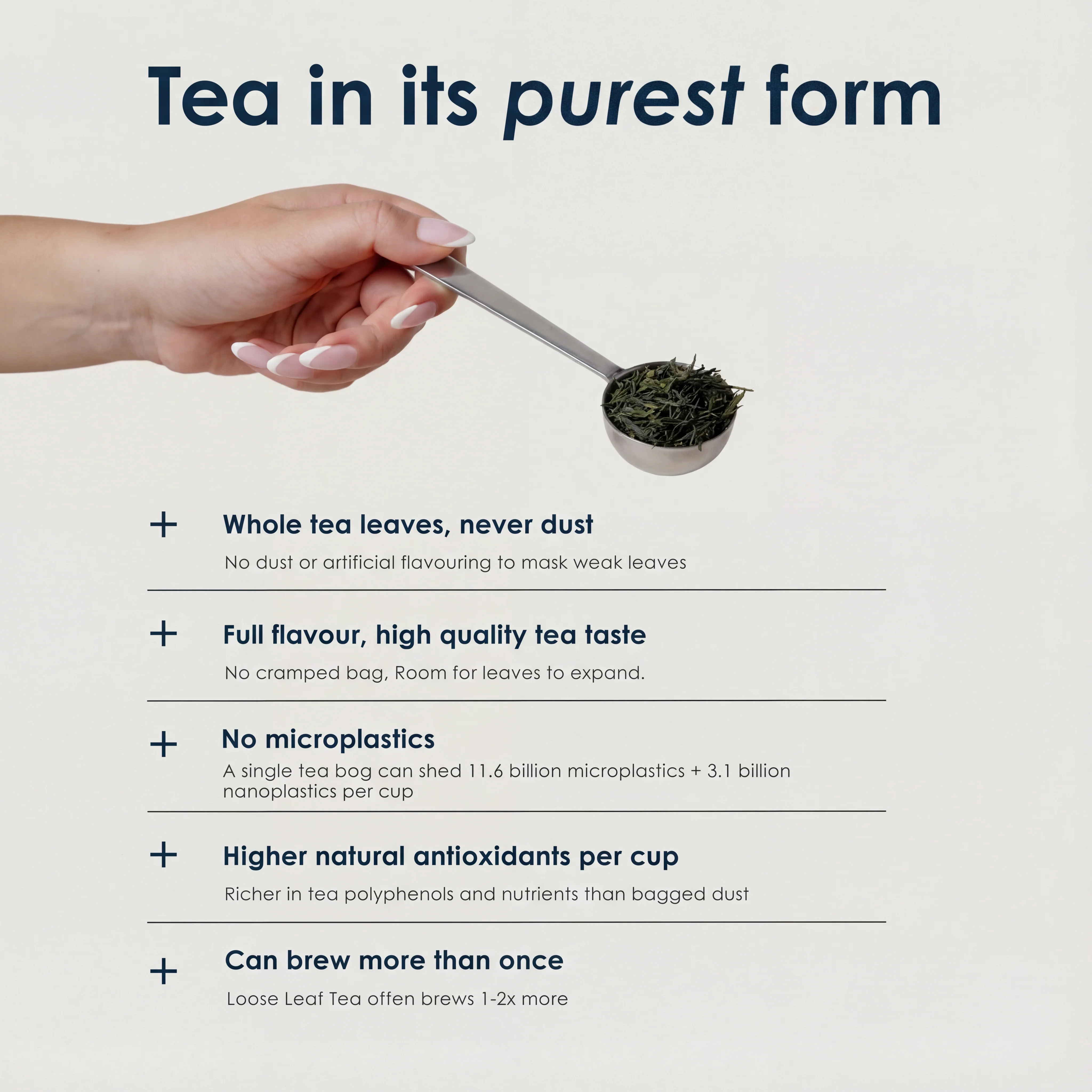 The Tea Club - Image 12